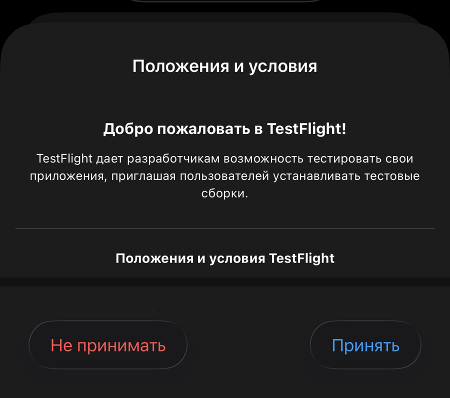 Экран «Положения и условия» TestFlight с кнопкой «Принять»